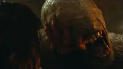 Comment s'appellent ces créatures ?