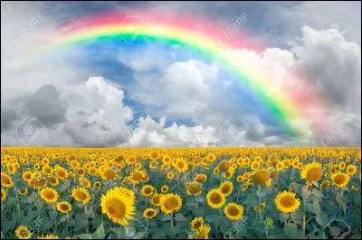 Quelles sont les sept couleurs de l'arc-en-ciel ?
