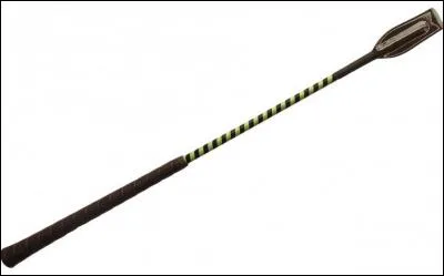 A quoi sert une cravache ?