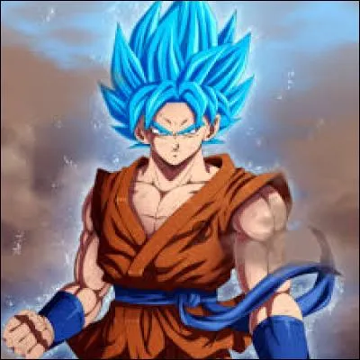 Qui est ce personnage ? (Attention, après cette question, il y aura des personnages créés par des fans de "Dbz" et par moi)