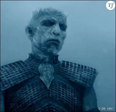 Quelles sont les caractéristiques des marcheurs blancs ?