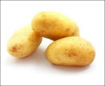 Quand fait-on la semence des pommes de terre ?