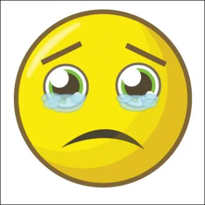 Un membre sur Quizz.biz a failli partir, ce qui m'_____ énormément... Heureusement, elle est restée.