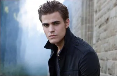 Qui joue le rôle de Stefan ?