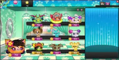 Comment s'appellent les animaux de MSP ?