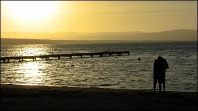 Quel duo a connu le succès en 1983 avec le titre "Amoureux fous" ?