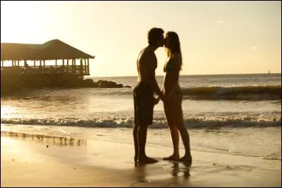 De quelle chanson de Michel Polnareff sont extraites ces paroles : "Je suis fou de vous Pourquoi vous moquez-vous chaque jour de mon pauvre amour " ?