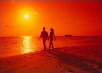 Quel artiste après être revenu à Montréal a chanté : " J't'aime comme un fou, J't'aime comme un fou, J't'aime comme un fou, Mais tu t'en fous" ?