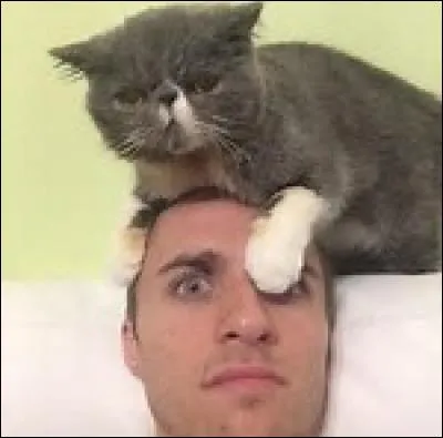 Comment s'appelle le chat de Squeezie ?