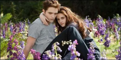 Dans quel film se passe cette scène ?