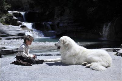 Une aventure en pleine nature qui mène à la rencontre d'un jeune orphelin et d'un chien abandonné. Quel film est-ce ?