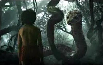 Ce n'est pas tous les jours que l'on peut croiser un petit homme qui vit dans la jungle avec des loups, une panthère, un ours et un tigre dans les parages. Quel film est-ce ?
