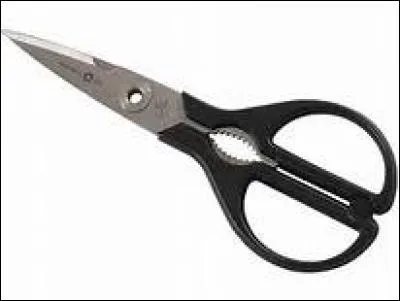 Que signifie "inciser" ?