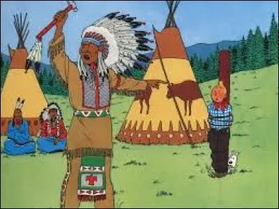 Dans quel continent va Tintin pour arrêter les bandits à Chicago ?