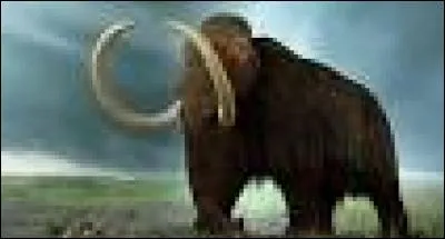Que signifie "mammouth" ?