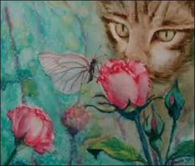 Variété de millet :