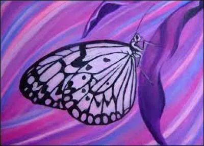 Rembourrage aux épaules d'un vêtement :