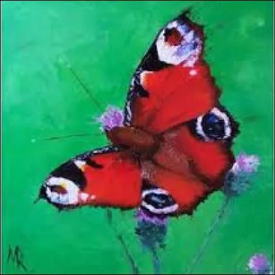 Plante asiatique dont la racine appelée ginseng a des propriétés toniques :