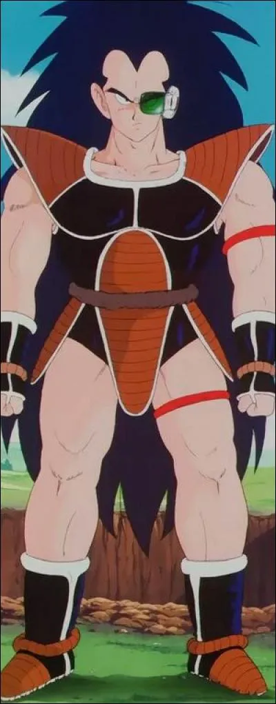 Raditz : Le grand frère de Goku et le fils de Bardock. Il est...