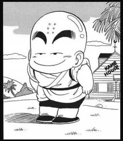 Krilin : Il n'a pas de nez et meurt souvent. Il est...