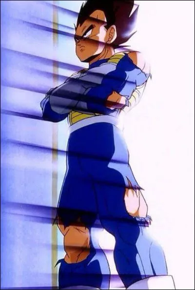 Vegeta : Il était le prince de sa planète. Il est...