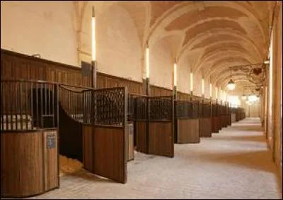 Quel est l'abri idéal pour un cheval ?