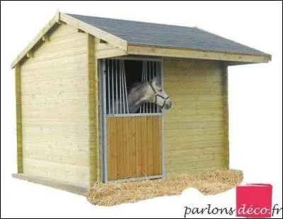 Comment aborder son cheval en box ?