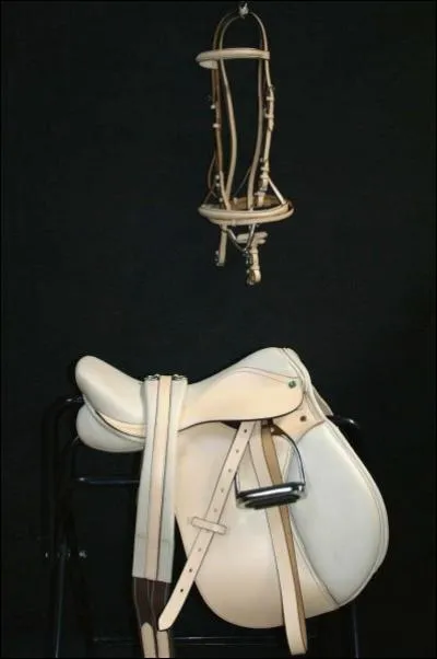 Comment s'appellent la selle et le filet ?