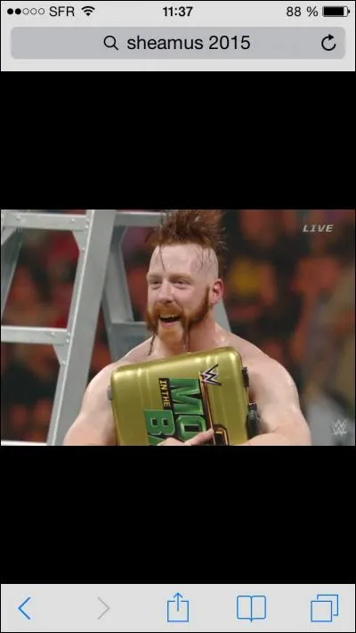 Qui est ce catcheur ?