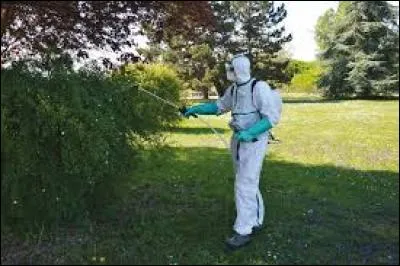 Quelle est la lutte contre les ravageurs, les maladies et les mauvaises herbes ?