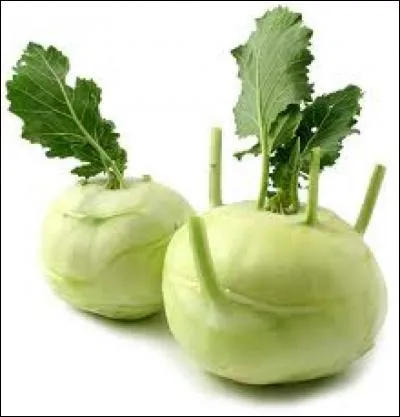 Quels légumes reconnaissez-vous ?