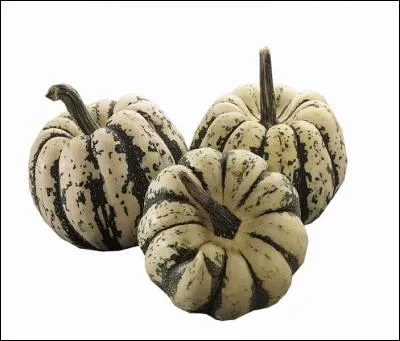 Quels légumes reconnaissez-vous ?