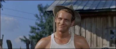 Il a reçu le prix d'interprétation masculine pour son interprétation du jeune fermier dans "les feux de l'été". De qui s'agit-il ?