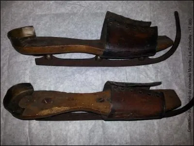 En quelle année se sont déroulés les premiers championnats du monde de patinage ?