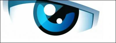 Jimmy37520 utilise l'il de "La Voix", de l'émission "Secret Story" comme image de profil. Sur quelle chaîne était diffusée cette émission ?