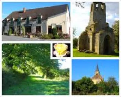 Voici diff&eacute;rentes vues de Saint-Aubin-le-Monial. Commune de l'Allier, elle se trouve dans la nouvelle r&eacute;gion ...