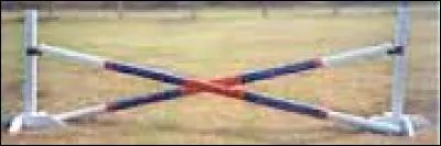 Comment appelle-t-on cet obstacle ?