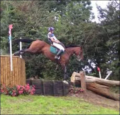 Comment appelle-t-on cet obstacle de cross ?