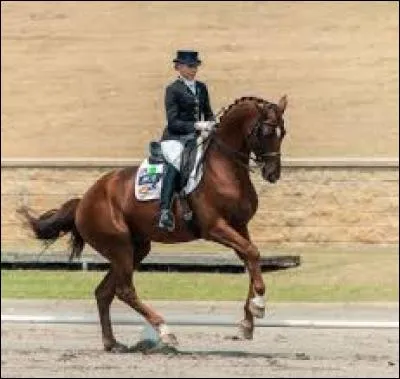 Quel est le mécanisme du galop à droite ?