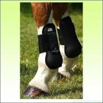 Comment s'appelle cette protection ?