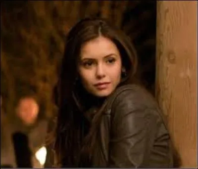 Pourquoi Elena a-t-elle fait effacer ses souvenirs concernant Famon au début de la saison 6 ?