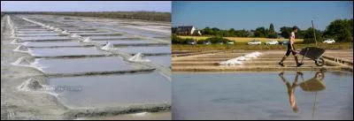 Lorsque vous vous promenez en Bretagne, vous pourrez admirer des « illets ». Faites attention, ce produit n'est pas fait pour la décoration ou la création de parfums ! 
Qu'est-ce qu'un « illet » ?