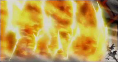 Comment se nomme cette attaque ?