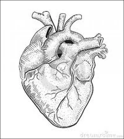 Après ce coup de fil, mon papy a eu une crise cardiaque. 
Vite, quel spécialiste nous faut-il ?