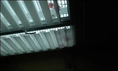 Comment s'appelle la fée dans "Peter Pan" ?