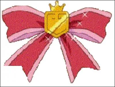 Sacha participe à...