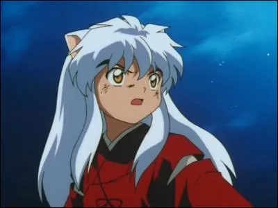 Quelle est la couleur préférée d'Inuyasha ?