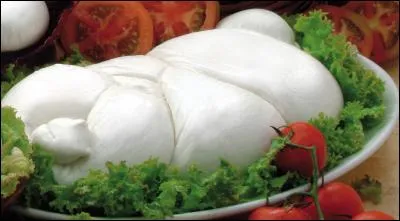 Quelle est la différence entre la mozzarella normale et la mozzarella di bufala ?