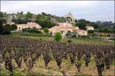 Je vous emmène à la découverte de Rochefort-du-Gard. Ville de Languedoc-Roussillon, elle se situe dans le département ...