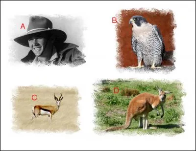 L'illustration nommée « A » est en lien étroit avec l'illustration représentée en : (indice : Pays)